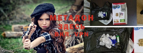 дурь Алексин