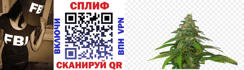 дарнет шоп ОМГ ОМГ ONION Канабис планчик Сенгилей